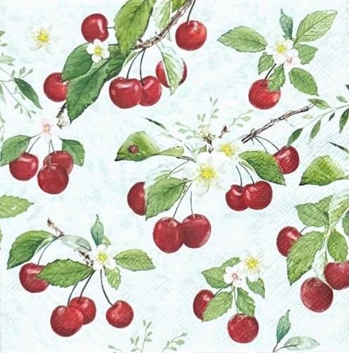 ڡѡʥץ33AMB5Fresh cherries - AM779
