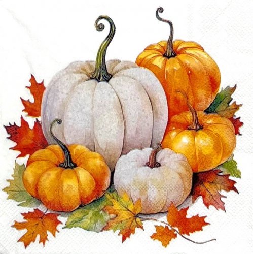 ڡѡʥץ33AMB5Pumpkin season - AM786