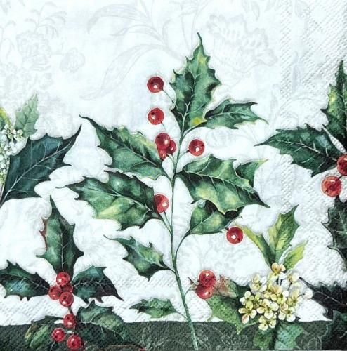 ڡѡʥץ25)IHR5 ALEXA cream - IH14525