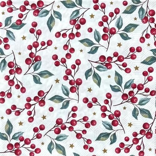 ڡѡʥץ33Daisy5Holly Berries Background - DA140