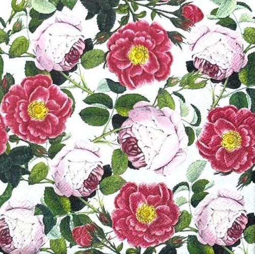 **デコパージュ薔薇雑貨**テープカッター♪アンティークローズ柄♪ dr-11-01.jpg