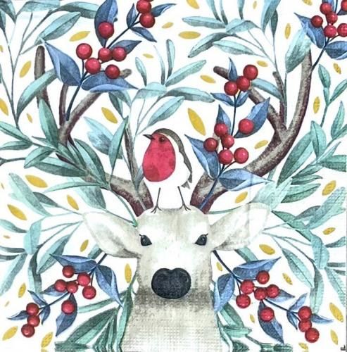 ڡѡʥץ33ppd5Bird & Buck - PP505
