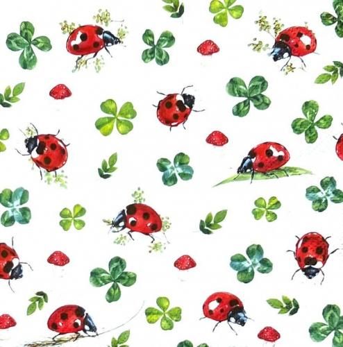 ڡѡʥץ33IHR5LUCKY LADYBUGS - IH697