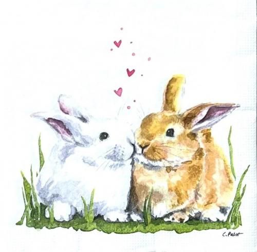 ڡѡʥץ33ppd5Easter Kiss - PP510