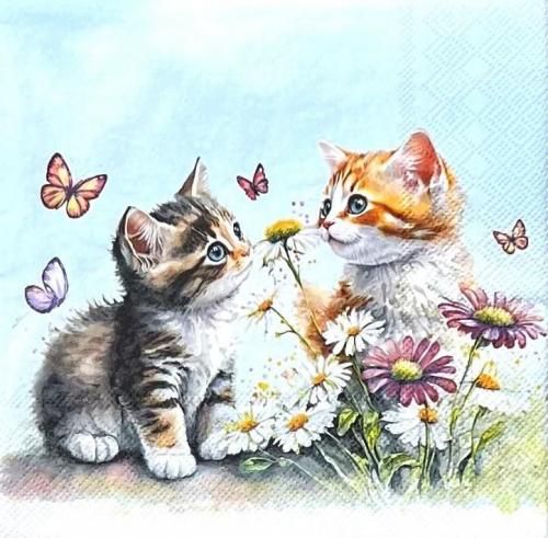 ڡѡʥץ33AMB5Kittens in flower field - AM831
