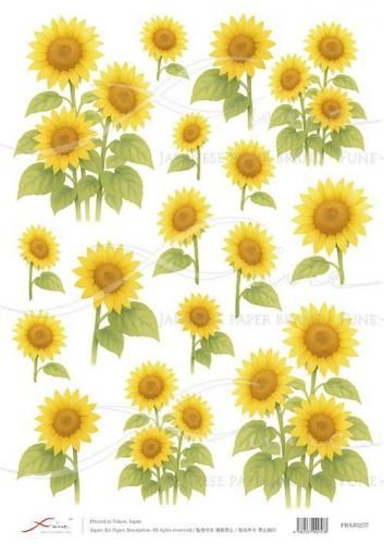 ひまわりのペーパーナプキン - 【Rose-rose-rose】ペーパーナプキン