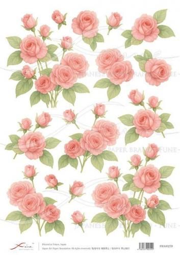 <img class='new_mark_img1' src='https://img.shop-pro.jp/img/new/icons1.gif' style='border:none;display:inline;margin:0px;padding:0px;width:auto;' />FUNE_A4ʥ饤ڡѡFRA40259