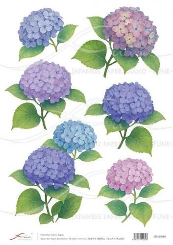 <img class='new_mark_img1' src='https://img.shop-pro.jp/img/new/icons1.gif' style='border:none;display:inline;margin:0px;padding:0px;width:auto;' />FUNE_A4ʥ饤ڡѡFRA40260