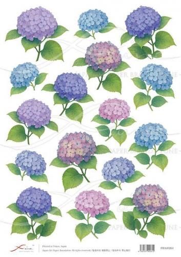 <img class='new_mark_img1' src='https://img.shop-pro.jp/img/new/icons1.gif' style='border:none;display:inline;margin:0px;padding:0px;width:auto;' />FUNE_A4ʥ饤ڡѡFRA40261