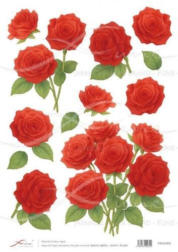 <img class='new_mark_img1' src='https://img.shop-pro.jp/img/new/icons1.gif' style='border:none;display:inline;margin:0px;padding:0px;width:auto;' />FUNE_A4ʥ饤ڡѡFRA40262