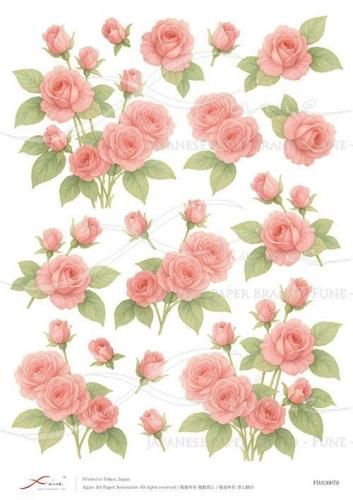 <img class='new_mark_img1' src='https://img.shop-pro.jp/img/new/icons1.gif' style='border:none;display:inline;margin:0px;padding:0px;width:auto;' />FUNE_A3ʥǥѡڡѡFDA30078
