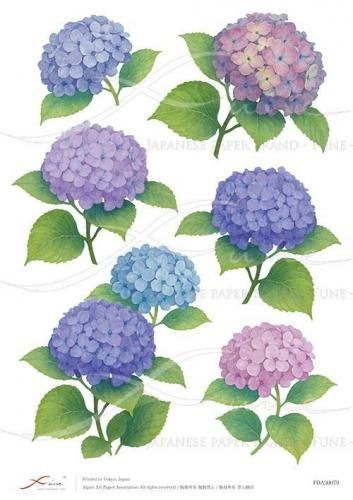 <img class='new_mark_img1' src='https://img.shop-pro.jp/img/new/icons1.gif' style='border:none;display:inline;margin:0px;padding:0px;width:auto;' />FUNE_A3ʥǥѡڡѡFDA30079

