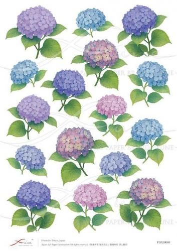 <img class='new_mark_img1' src='https://img.shop-pro.jp/img/new/icons1.gif' style='border:none;display:inline;margin:0px;padding:0px;width:auto;' />FUNE_A3ʥǥѡڡѡFDA30080
