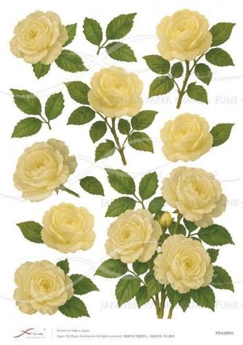 <img class='new_mark_img1' src='https://img.shop-pro.jp/img/new/icons1.gif' style='border:none;display:inline;margin:0px;padding:0px;width:auto;' />FUNE_A3ʥǥѡڡѡFDA30083
