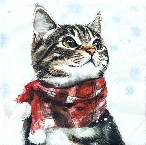 <img class='new_mark_img1' src='https://img.shop-pro.jp/img/new/icons1.gif' style='border:none;display:inline;margin:0px;padding:0px;width:auto;' />ڡѡʥץ33ti-flair5Katie - Ti177