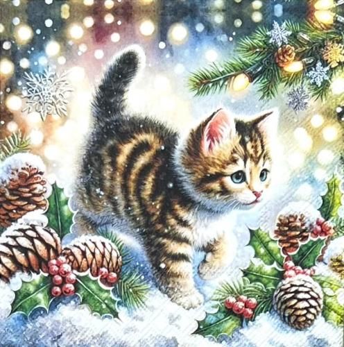 <img class='new_mark_img1' src='https://img.shop-pro.jp/img/new/icons1.gif' style='border:none;display:inline;margin:0px;padding:0px;width:auto;' />ڡѡʥץ33AMB5Cute cat in the snow - AM846