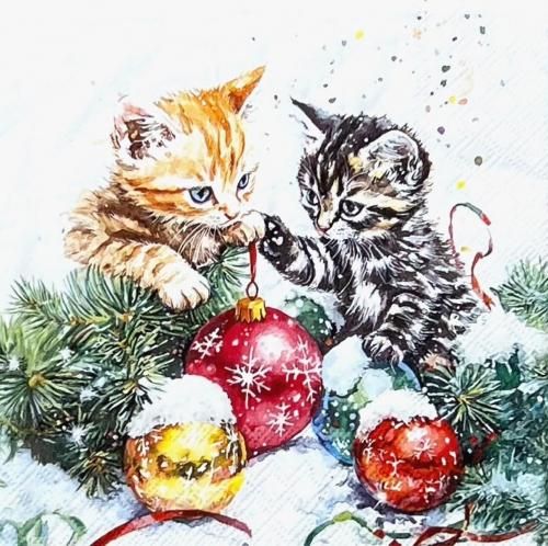 <img class='new_mark_img1' src='https://img.shop-pro.jp/img/new/icons1.gif' style='border:none;display:inline;margin:0px;padding:0px;width:auto;' />ڡѡʥץ33AMB5Adorable kittens - AM850