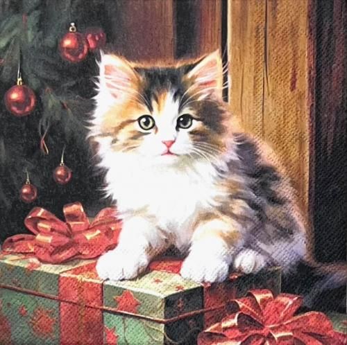 <img class='new_mark_img1' src='https://img.shop-pro.jp/img/new/icons1.gif' style='border:none;display:inline;margin:0px;padding:0px;width:auto;' />ڡѡʥץ33AMB5Molly - AM851