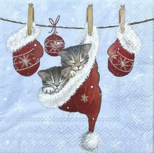 <img class='new_mark_img1' src='https://img.shop-pro.jp/img/new/icons1.gif' style='border:none;display:inline;margin:0px;padding:0px;width:auto;' />ڡѡʥץ33AMB5Just sleepy - AM853
