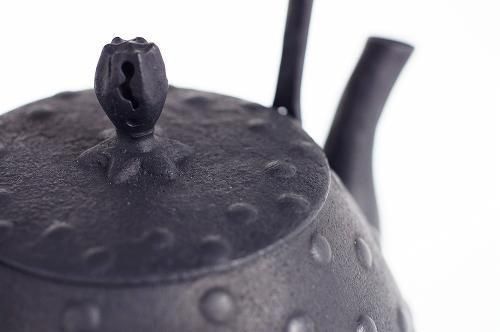 釜定 鉄瓶 秋の実（あきのみ）大あられ - うつわと暮らしの道具 mokodi