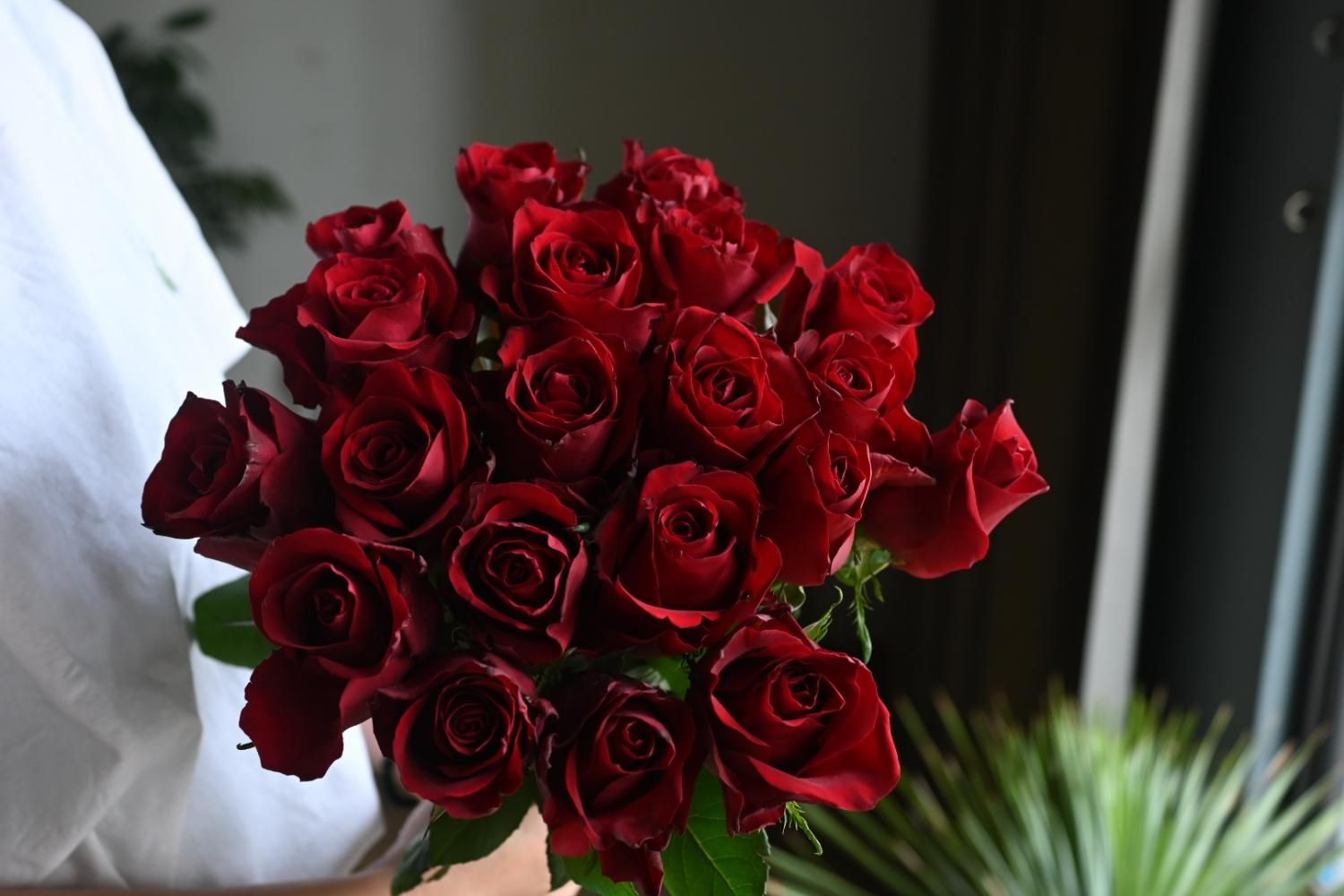 red roses bouquet 20stems