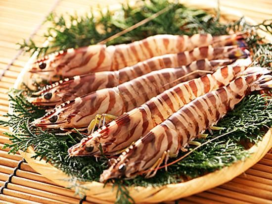 竹富島産活きくるまえび500g 送料込み 石垣島土産 沖縄 石垣島の特産品やグルメ通販 石垣島土産専門店の 瀬戸商店 竹富島産活きくるまえび500g 送料込み 石垣島土産 沖縄 石垣島の特産品やグルメ通販 石垣島土産専門店の 瀬戸商店