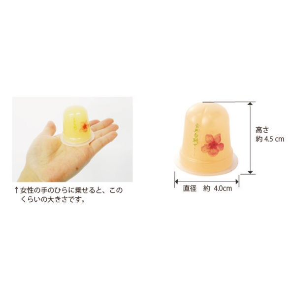 プチ完熟白桃ぜりー 12個入 桃のお菓子通販 桃花亭 桃の館オンラインショップ プチ完熟白桃ぜりー 12個入 桃のお菓子通販 桃花亭 桃の館オンラインショップ