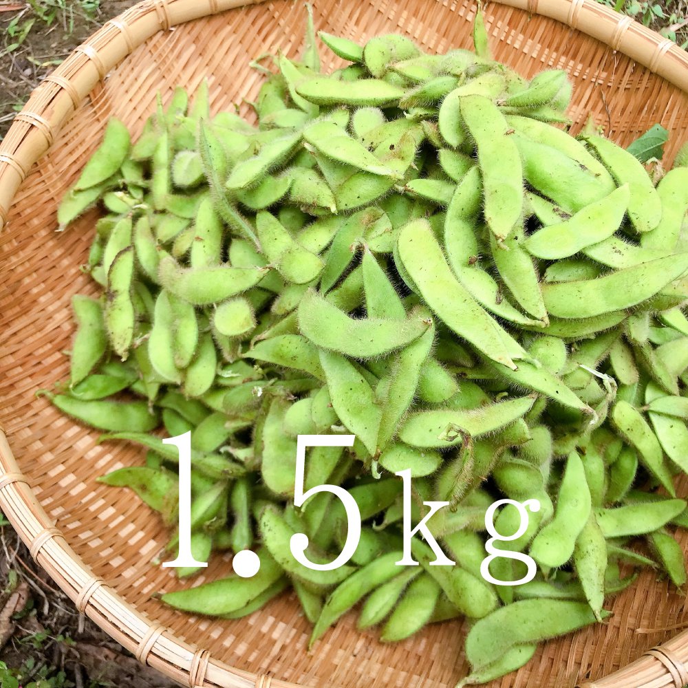 枝豆1.5kg