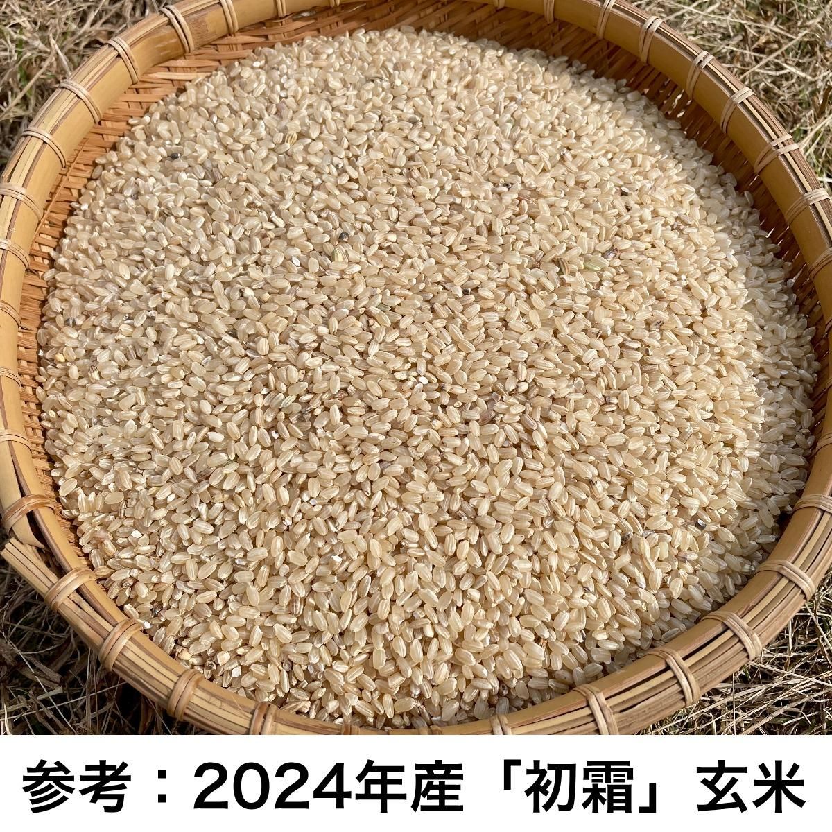 2024年産》初霜玄米/白米 2kg〜【無農薬・無肥料 自然栽培 天 2024年産》初霜玄米/白米 2kg〜【無農薬・無肥料 自然栽培 天