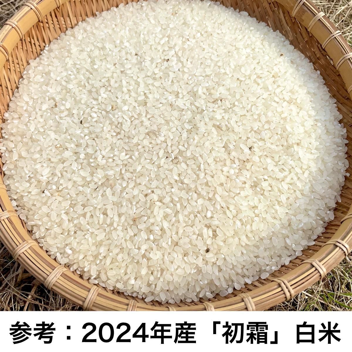 2024年産》初霜玄米/白米 2kg〜【無農薬・無肥料 自然栽培 天 2024年産》初霜玄米/白米 2kg〜【無農薬・無肥料 自然栽培 天