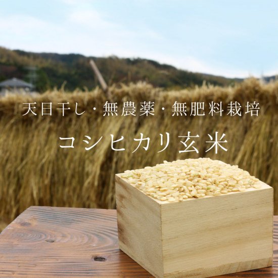 ①今回は天日干し玄米です天日干し玄米・20㌔❣️無農薬 - 米