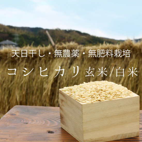 2024年産》コシヒカリ玄米/白米 2kg〜【無農薬・無肥料 自然栽培