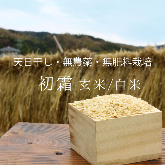 2024年産》初霜玄米/白米 2kg〜【無農薬・無肥料 自然栽培 天 2024年産》初霜玄米/白米 2kg〜【無農薬・無肥料 自然栽培 天
