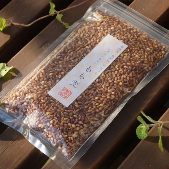 もち麦(ダイシモチ)【無農薬・無肥料 自然栽培 天日干し もち麦(ダイシモチ)【無農薬・無肥料 自然栽培 天日干し