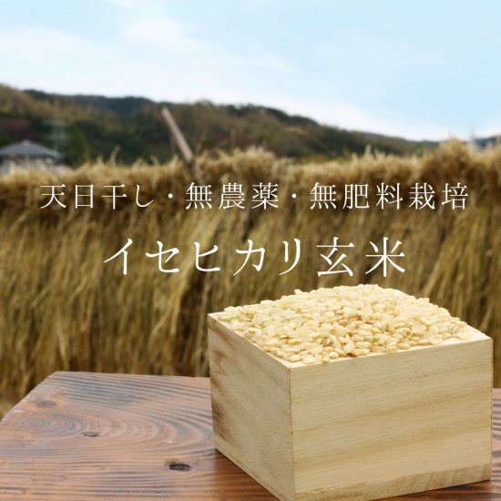2023年産》イセヒカリ玄米 1kg【無農薬・無肥料 自然栽培 天日干し