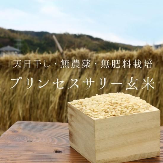 2022年産》【カレーに最適】 プリンセスサリー玄米 1kg【無農薬 2022年産》【カレーに最適】 プリンセスサリー玄米 1kg【無農薬