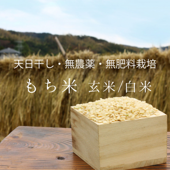 2024年産》マンゲツモチ(もち米)玄米/白米 2kg〜【無農薬・無 2024年産》マンゲツモチ(もち米)玄米/白米 2kg〜【無農薬・無
