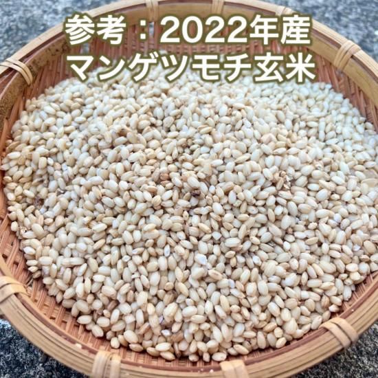 2024年産》マンゲツモチ(もち米)玄米/白米 2kg〜【無農薬・無 2024年産》マンゲツモチ(もち米)玄米/白米 2kg〜【無農薬・無