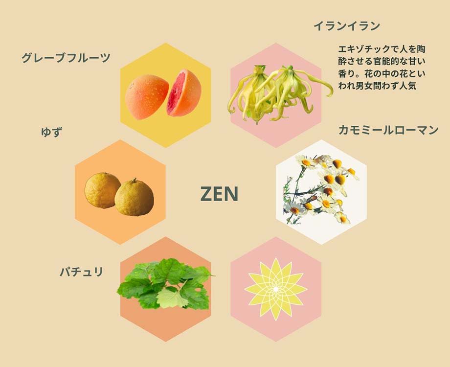 ZENを構成する六角形のイメージ