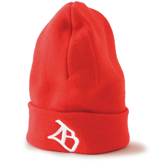 LB ORIGINAL KNIT CAP - FESN / LIBE BRAND UNIVS.