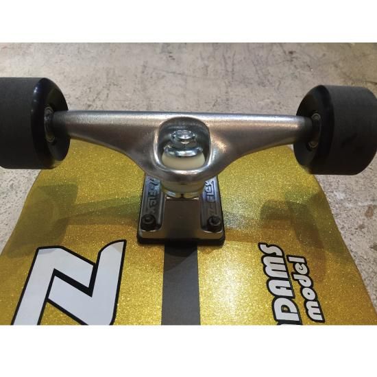 Z-FLEX x FESN Laboratory / CUSTOM CRUISER / GOLDMETAL - FESN