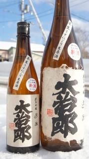 祝い額　鯛　白木　大入 祝い鯛 （約30cm)｜鮮魚たかぎ 桂川店