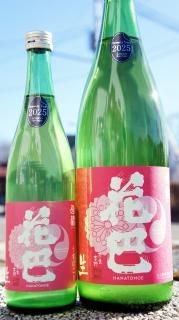 <img class='new_mark_img1' src='https://img.shop-pro.jp/img/new/icons15.gif' style='border:none;display:inline;margin:0px;padding:0px;width:auto;' /≯ԤɸսƼ򡦲áʤϤʤȤ⤨® ˤ ɸ ¤