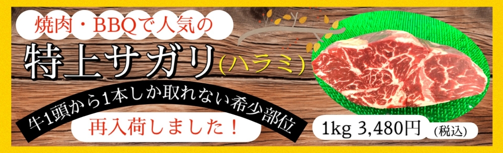 졡Ź,Ź,,졡,С٥塼,졡¤,Ź¤