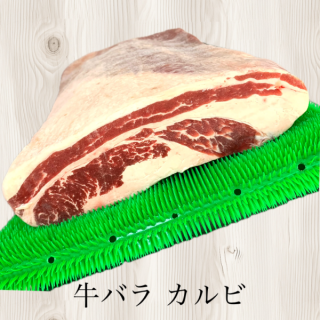 Х ӡʥꥫˡ饤оݾ