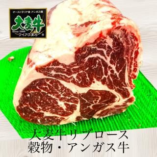 <img class='new_mark_img1' src='https://img.shop-pro.jp/img/new/icons25.gif' style='border:none;display:inline;margin:0px;padding:0px;width:auto;' />̲ʡʪ/֥ʥȥꥢˡ饤оݾ