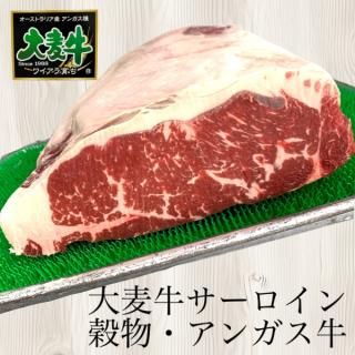<img class='new_mark_img1' src='https://img.shop-pro.jp/img/new/icons25.gif' style='border:none;display:inline;margin:0px;padding:0px;width:auto;' />ʪ/ʥȥꥢˡ饤оݾ