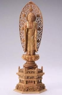 ʩ Ω ǡɡϻѺ¡ 5.0