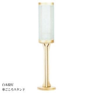  ƥꥢ ڹ    涡 ڤ  ĥ OZ-2926