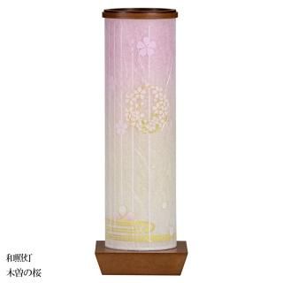  ƥꥢ     涡  ¾ κ  LED ɥ쥹 GK-2981